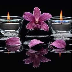 Rosa Authentic Traditional Thai Massage Leeds 07922 881689